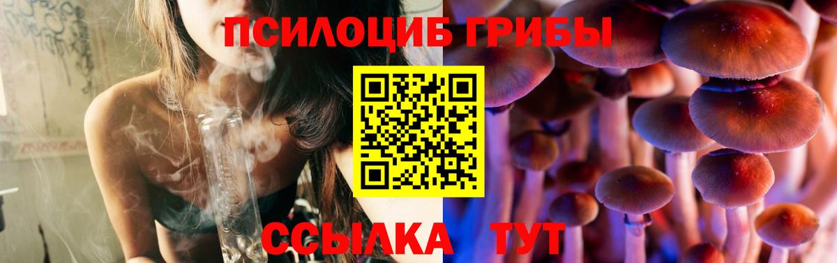 Псилоцибиновые грибы MAGIC MUSHROOMS  Галлюциногенные грибы GOLDEN TEACHER  Симферополь  Вход с VPN 
